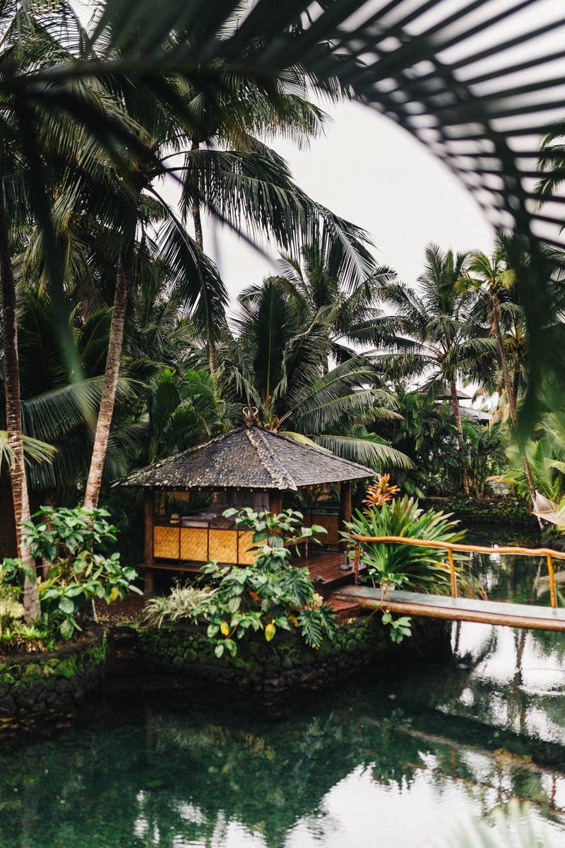 Review: Denmark Proposes Corona Pass Mandate for Workers